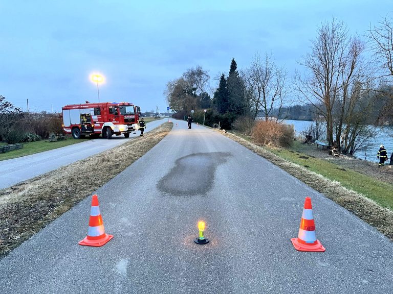 Arbeitseinsatz – Baumbeseitigung