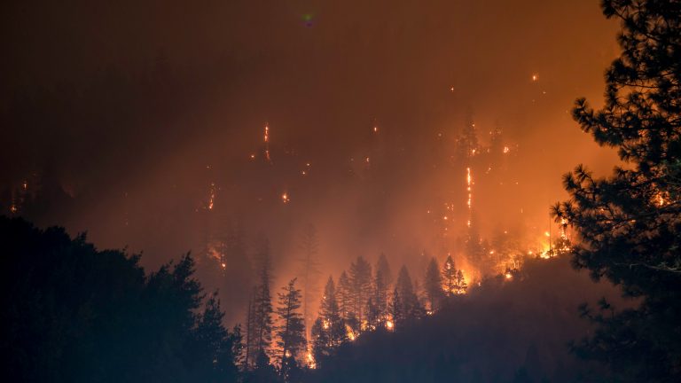 Waldbrandverordnung im Bezirk Amstetten in Kraft